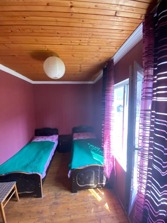 Shaulini Hotel Kashveti Ngoại thất bức ảnh