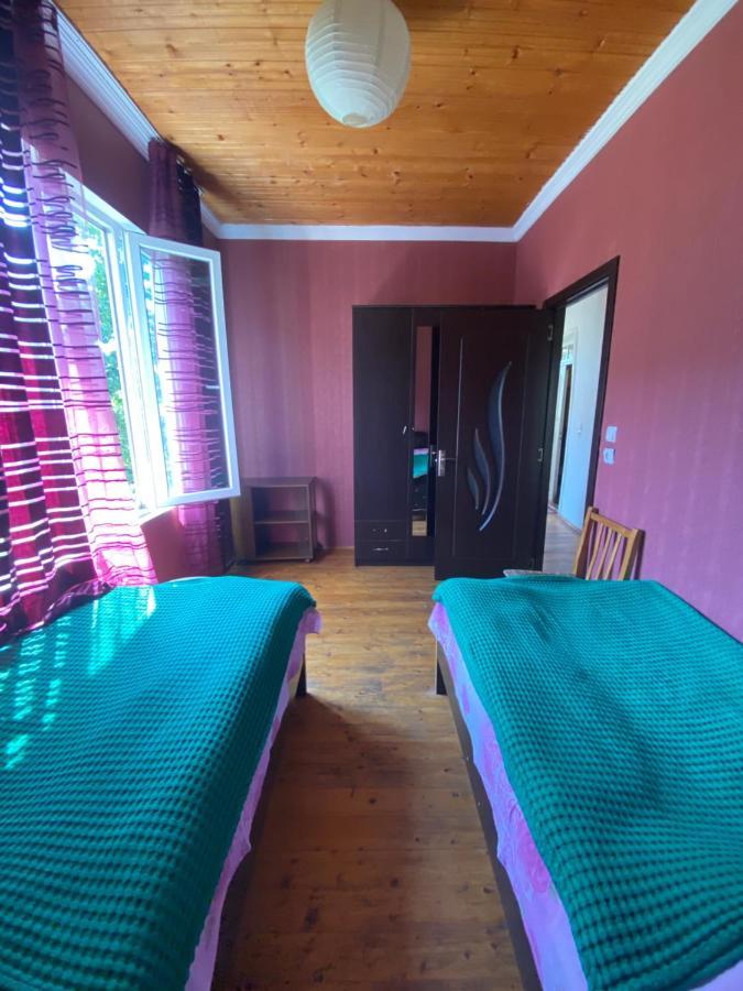 Shaulini Hotel Kashveti Ngoại thất bức ảnh
