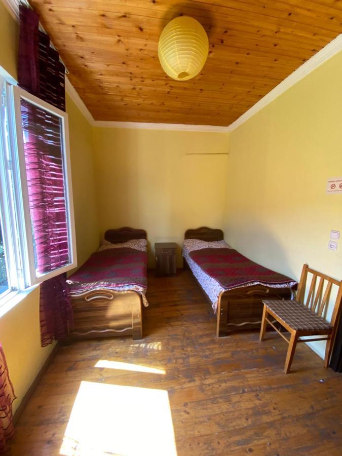 Shaulini Hotel Kashveti Ngoại thất bức ảnh