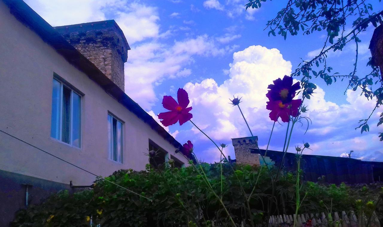 Shaulini Hotel Kashveti Ngoại thất bức ảnh